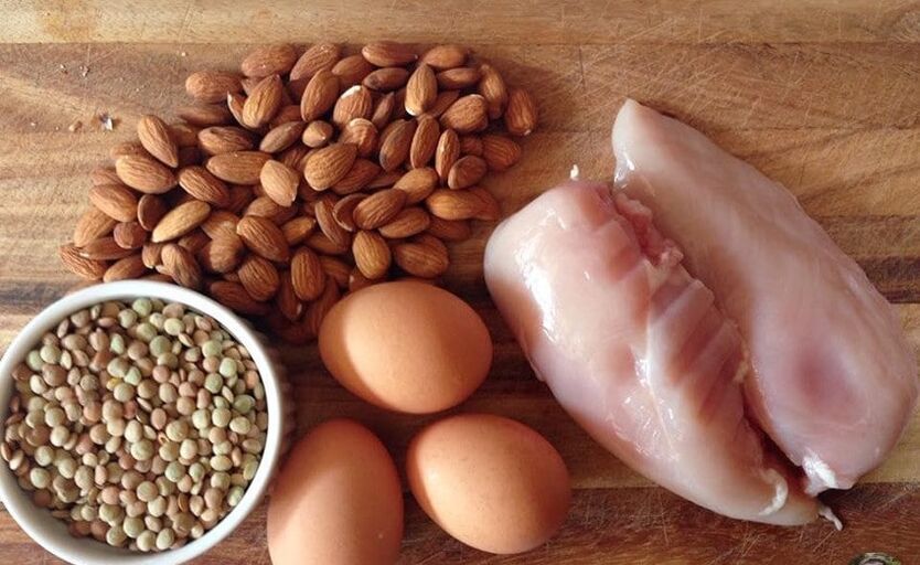 Protein beslemesi